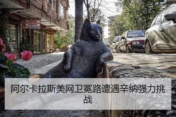 a-er-ka-la-si-mei-wang-wei-mian-lu-zao-yu-xin-na-qiang-li-tiao-zhan-2-155.jpg