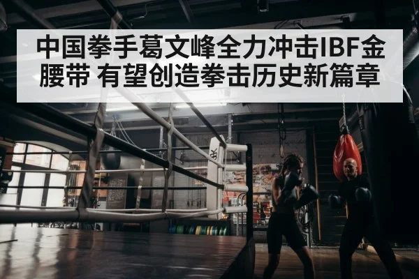 中国拳手葛文峰全力冲击IBF金腰带 有望创造拳击历史新篇章